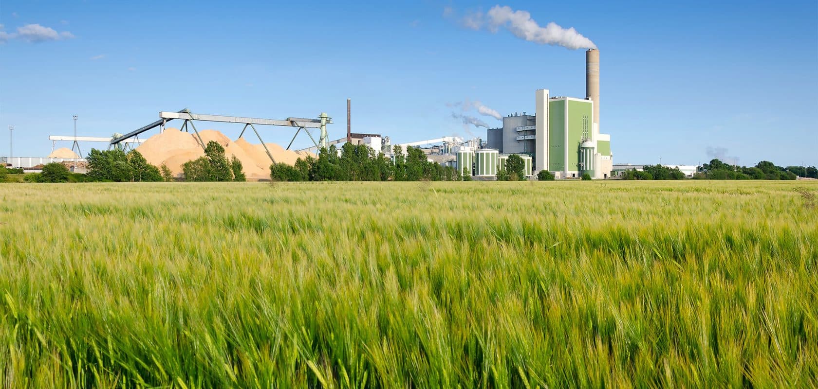 Foto do projeto GreenFuture, Startup focada em soluções de energia limpa e acessível.