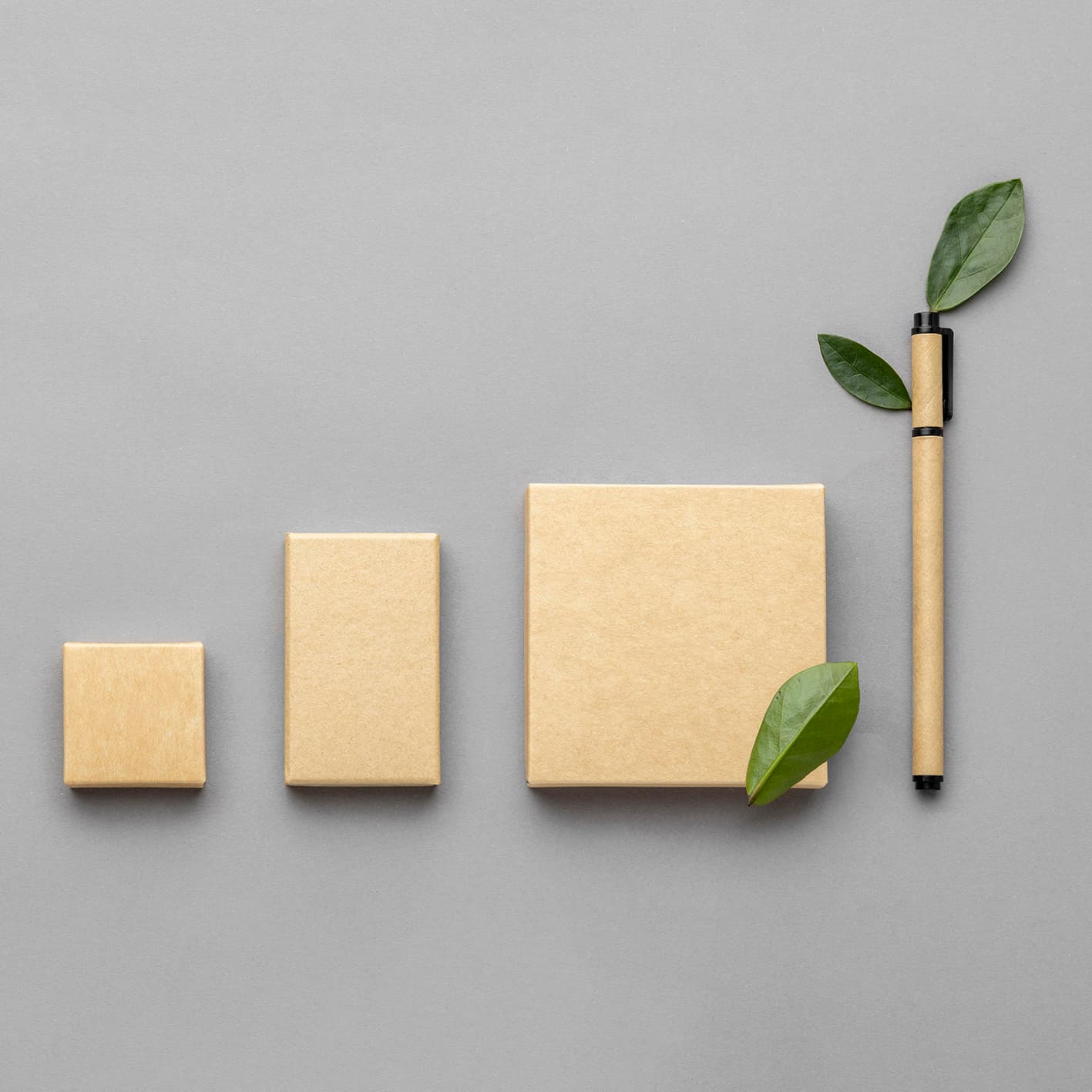 GreenLoop Packaging